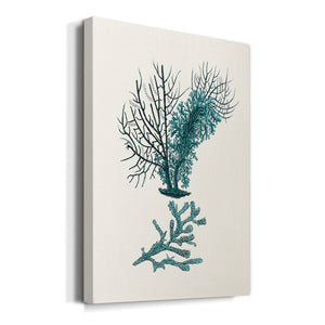 Antique Coastal Coral VI Premium Gallery Wrapped Canvas - Ready to Hang