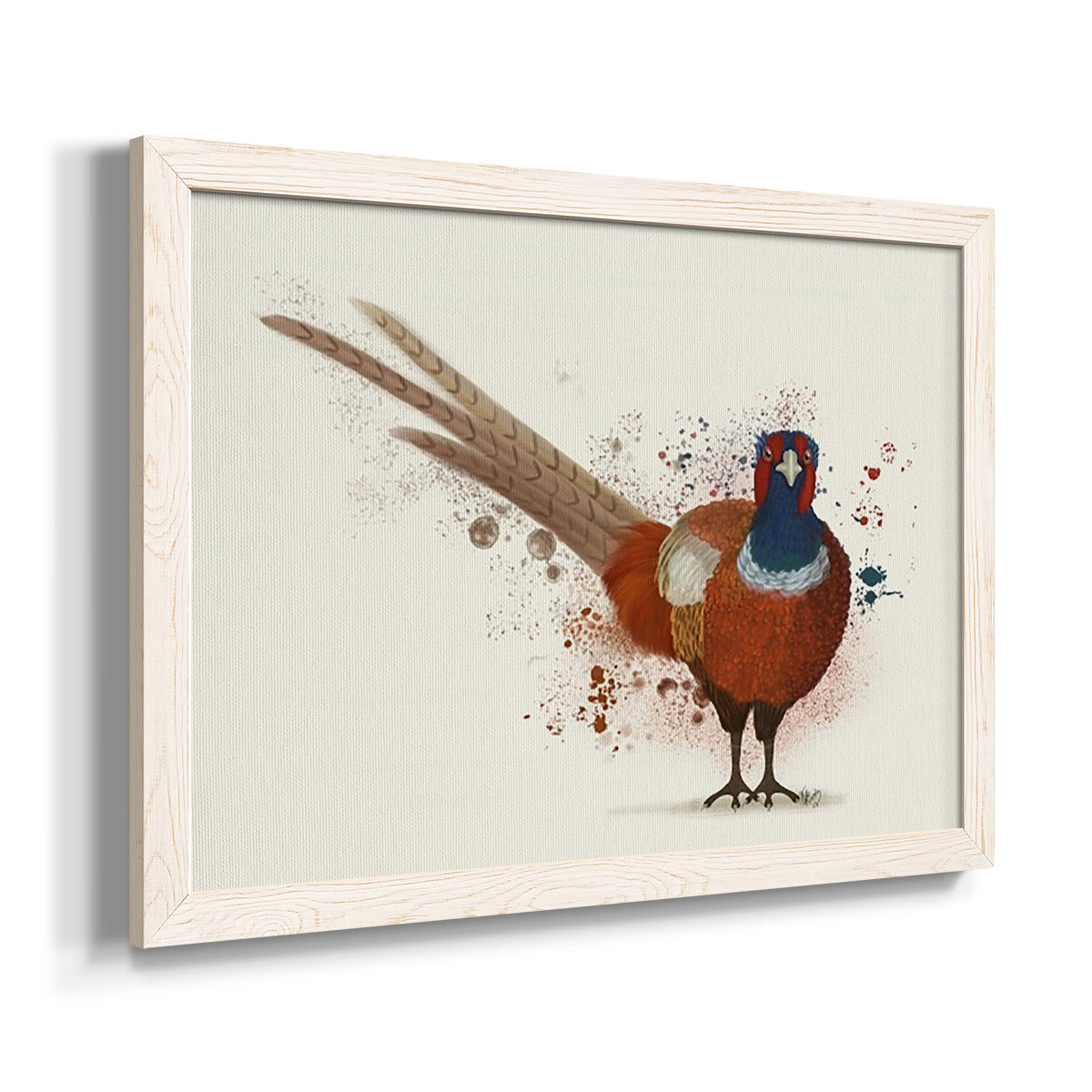 Pheasant Splash 7-Premium Framed Canvas - Ready to Hang