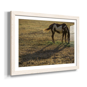 Long Shadow-Premium Framed Print - Ready to Hang