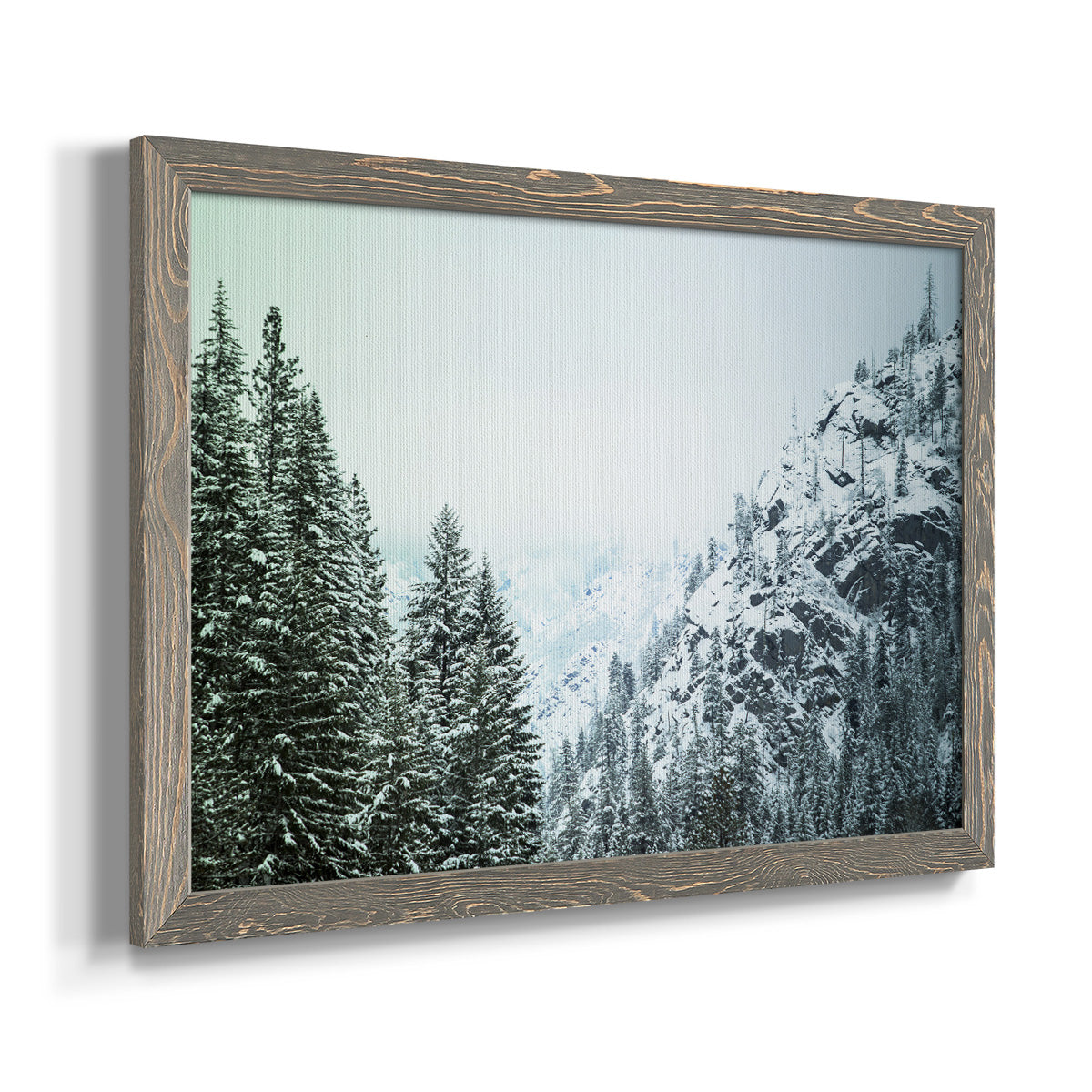 Snowfall in Cascadia II V1-Premium Framed Canvas - Ready to Hang