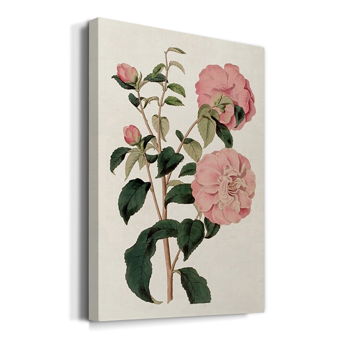 Pink Floral Mix IV Premium Gallery Wrapped Canvas - Ready to Hang