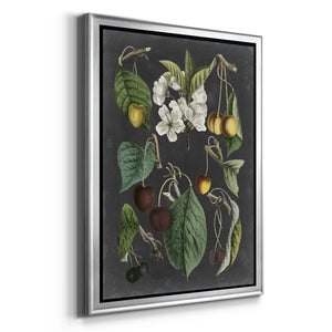 Orchard Varieties II Premium Framed Print - Ready to Hang