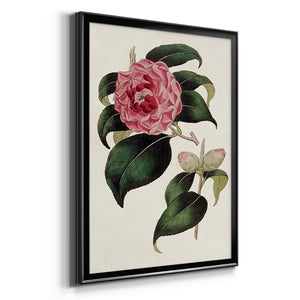 Pink Floral Mix III Premium Framed Print - Ready to Hang