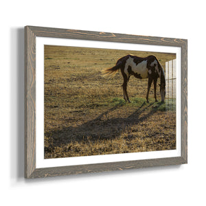 Long Shadow-Premium Framed Print - Ready to Hang