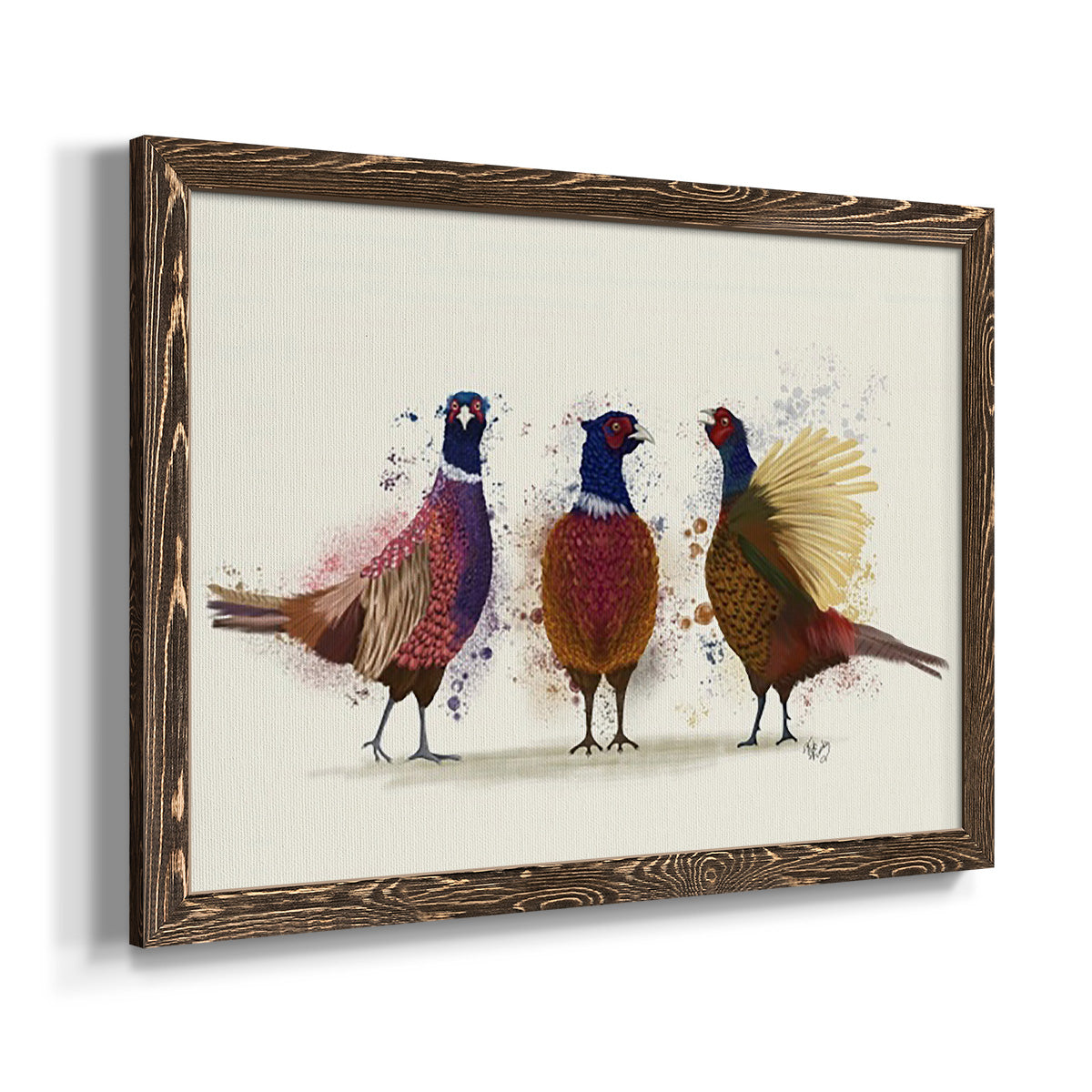 Pheasant Trio-Premium Framed Canvas - Ready to Hang