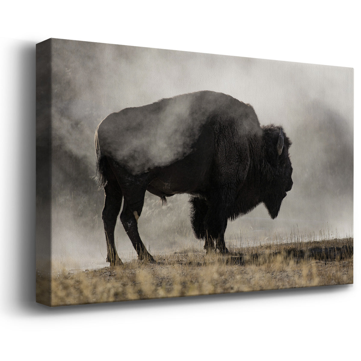 Geyser Basin Premium Gallery Wrapped Canvas - Ready to Hang