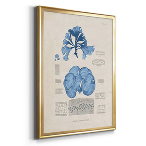 Blue Marine Algae IV Premium Framed Print - Ready to Hang