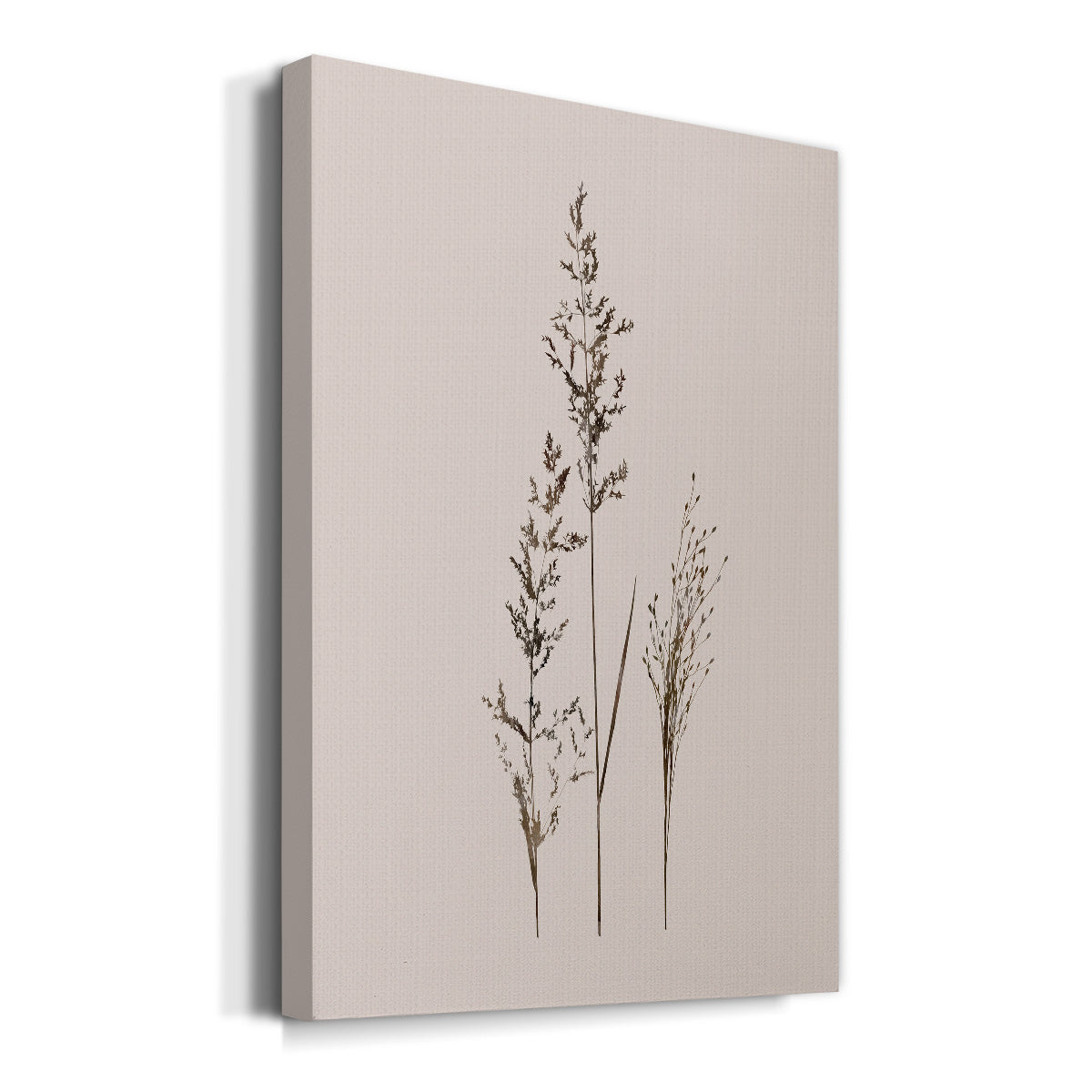 Delicate Stems I Premium Gallery Wrapped Canvas - Ready to Hang