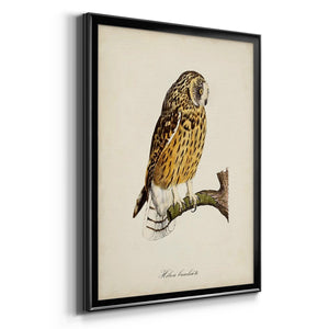 French Owls II Premium Framed Print - Ready to Hang