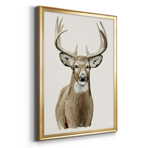 Handsome Whitetail II Premium Framed Print - Ready to Hang
