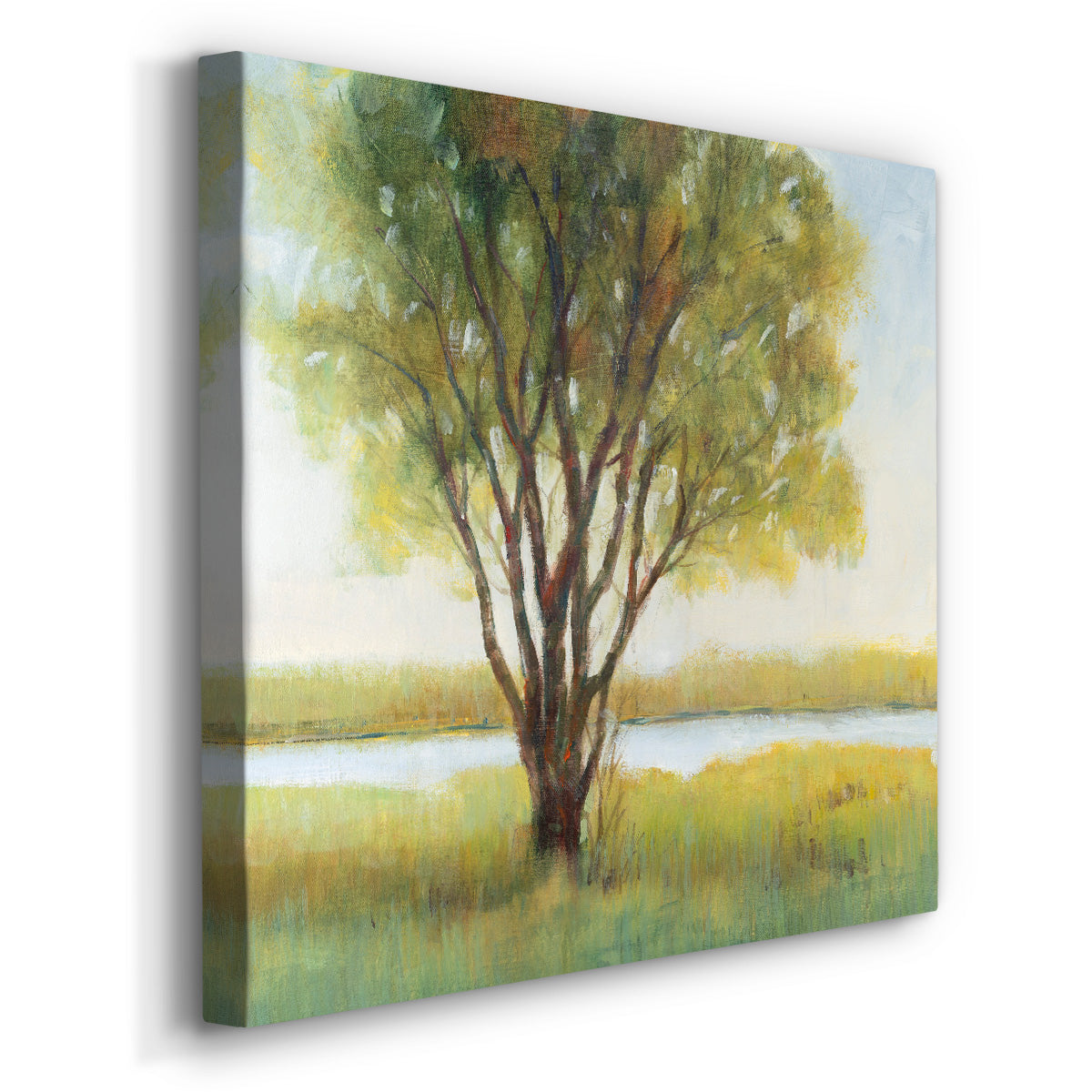 Shade Tree I-Premium Gallery Wrapped Canvas - Ready to Hang
