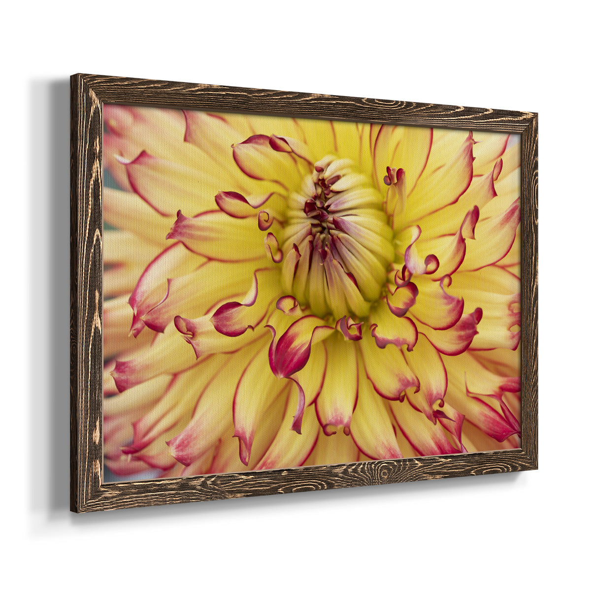 Blooms II-Premium Framed Canvas - Ready to Hang