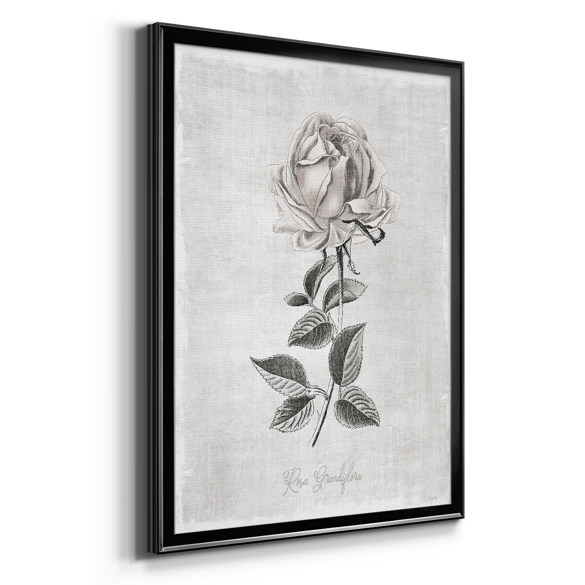 Vintage Botanical II Premium Framed Print - Ready to Hang