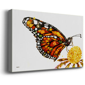 Wings I Premium Gallery Wrapped Canvas - Ready to Hang