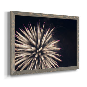 Sky Bloom-Premium Framed Canvas - Ready to Hang