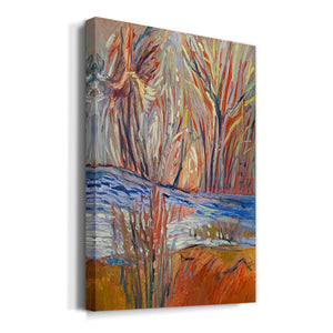 Cadmium Winter Solstice I Premium Gallery Wrapped Canvas - Ready to Hang