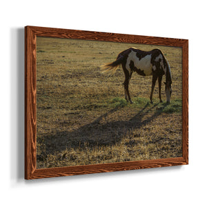 Long Shadow-Premium Framed Canvas - Ready to Hang