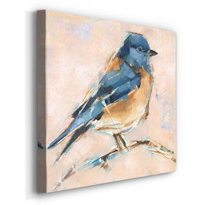 Bird Variety III-Premium Gallery Wrapped Canvas - Ready to Hang