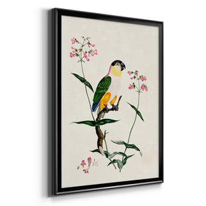 Sepia Botanical Journal I - Modern Framed Canvas Print