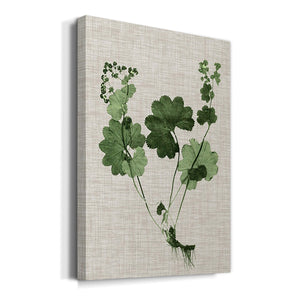 Forest Foliage on Linen I Premium Gallery Wrapped Canvas - Ready to Hang