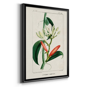 Turpin Tropical Botanicals IX Premium Framed Print - Ready to Hang