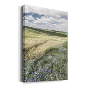 Wildflower Farm Premium Gallery Wrapped Canvas - Ready to Hang