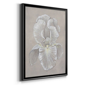 White Iris II Premium Framed Print - Ready to Hang