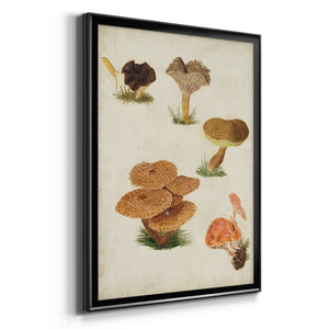Mushroom Species V Premium Framed Print - Ready to Hang