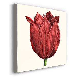 Tulip Garden II-Premium Gallery Wrapped Canvas - Ready to Hang