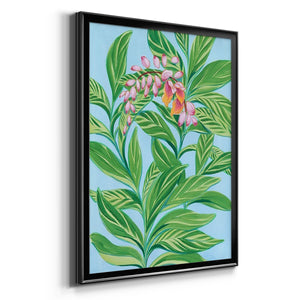 Tropical Shell Ginger I Premium Framed Print - Ready to Hang