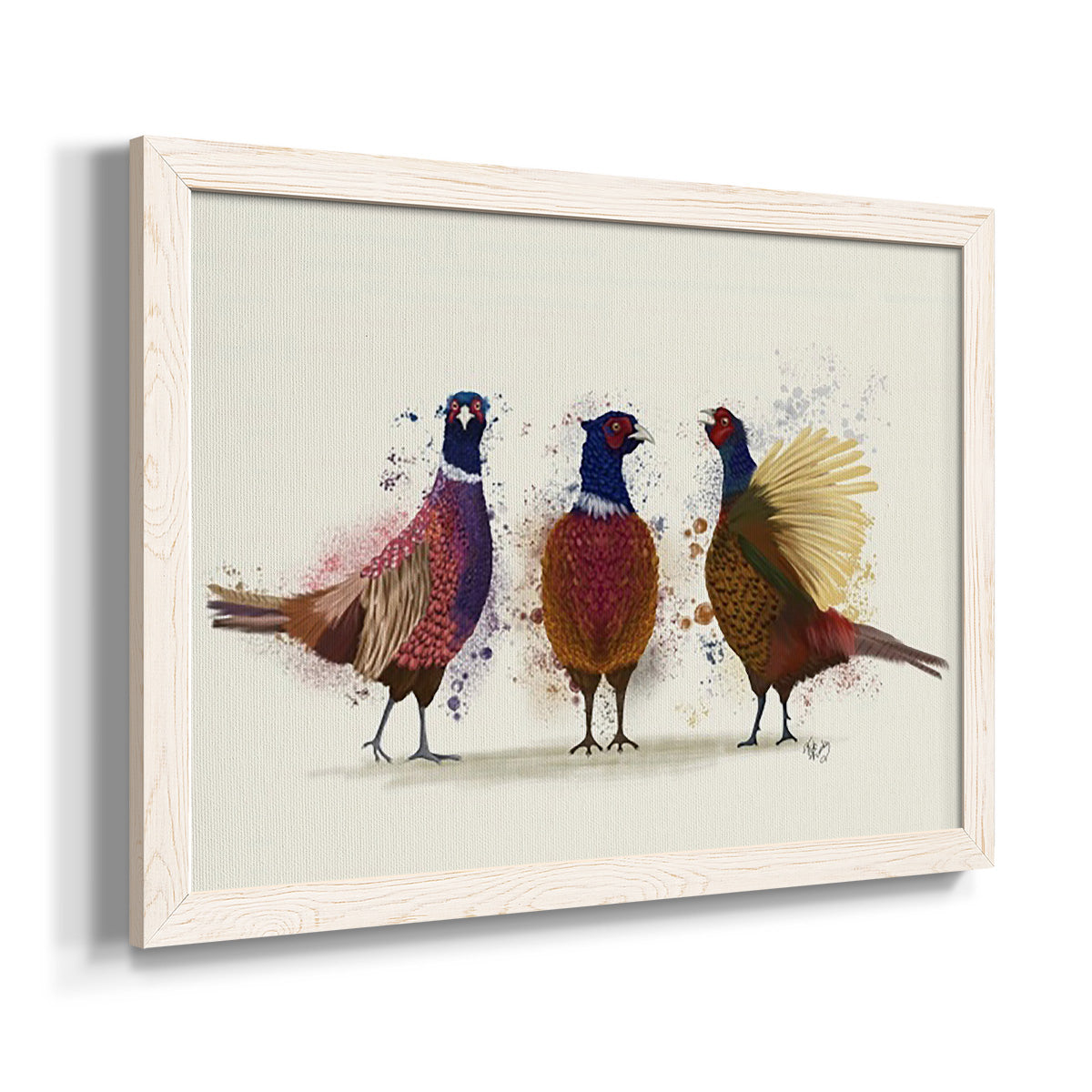 Pheasant Trio-Premium Framed Canvas - Ready to Hang