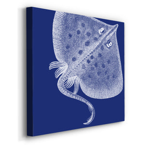 Saturated Sea Life III-Premium Gallery Wrapped Canvas - Ready to Hang