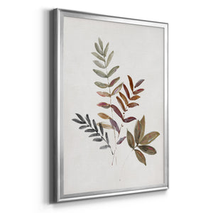 Autumn Leaves III Premium Framed Print - Ready to Hang