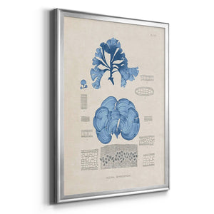 Blue Marine Algae IV Premium Framed Print - Ready to Hang