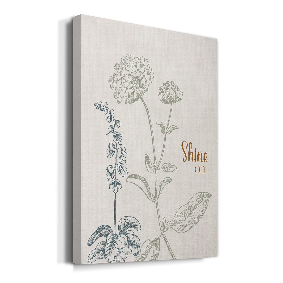 Shine On Premium Gallery Wrapped Canvas - Ready to Hang
