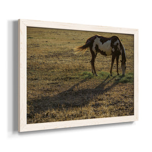 Long Shadow-Premium Framed Canvas - Ready to Hang