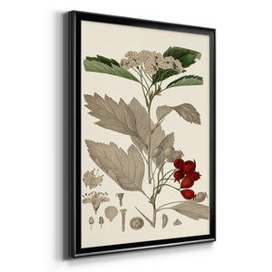 Leaves & Berries I Premium Framed Print - Ready to Hang