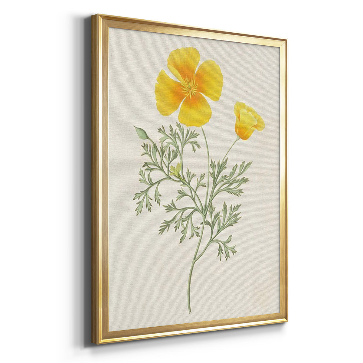 Flowers of the Seasons IX Premium Framed Print - Ready to Hang