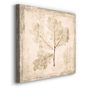 Stone Leaf III-Premium Gallery Wrapped Canvas - Ready to Hang