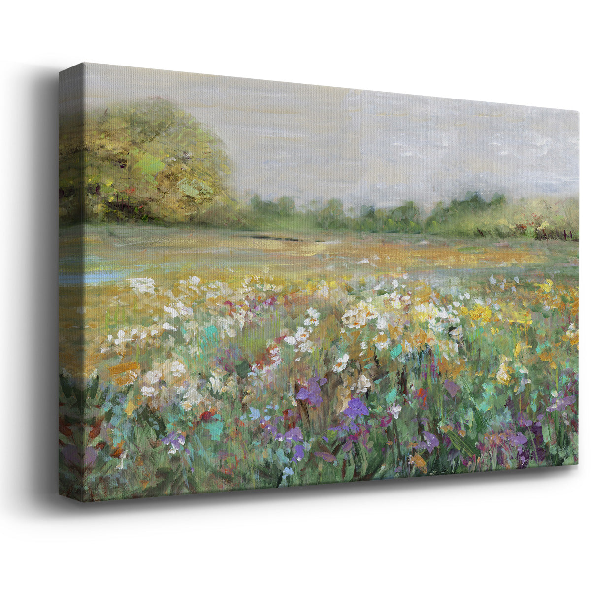 Country Meadow Premium Gallery Wrapped Canvas - Ready to Hang