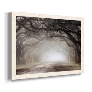 Timeless Plantation Drive-Premium Framed Canvas - Ready to Hang