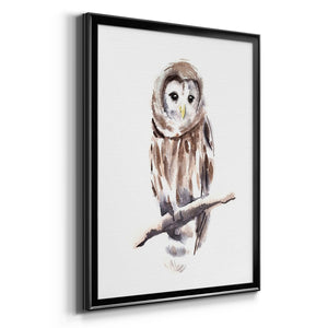 Barred Owl Impressions I Premium Framed Print - Ready to Hang