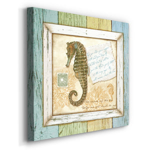 Sea Treasures X-Premium Gallery Wrapped Canvas - Ready to Hang