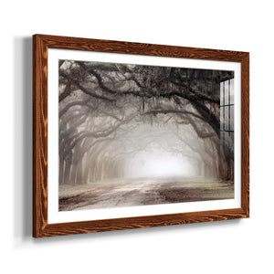 Timeless Plantation Drive-Premium Framed Print - Ready to Hang