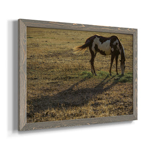 Long Shadow-Premium Framed Canvas - Ready to Hang