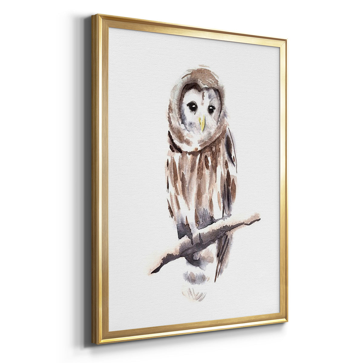 Barred Owl Impressions I Premium Framed Print - Ready to Hang