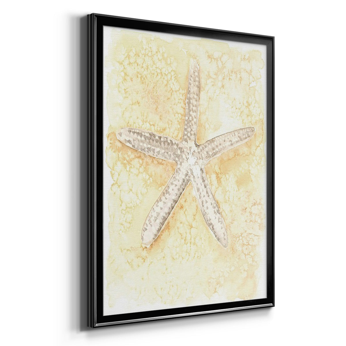 Salty Seashell I Premium Framed Print - Ready to Hang