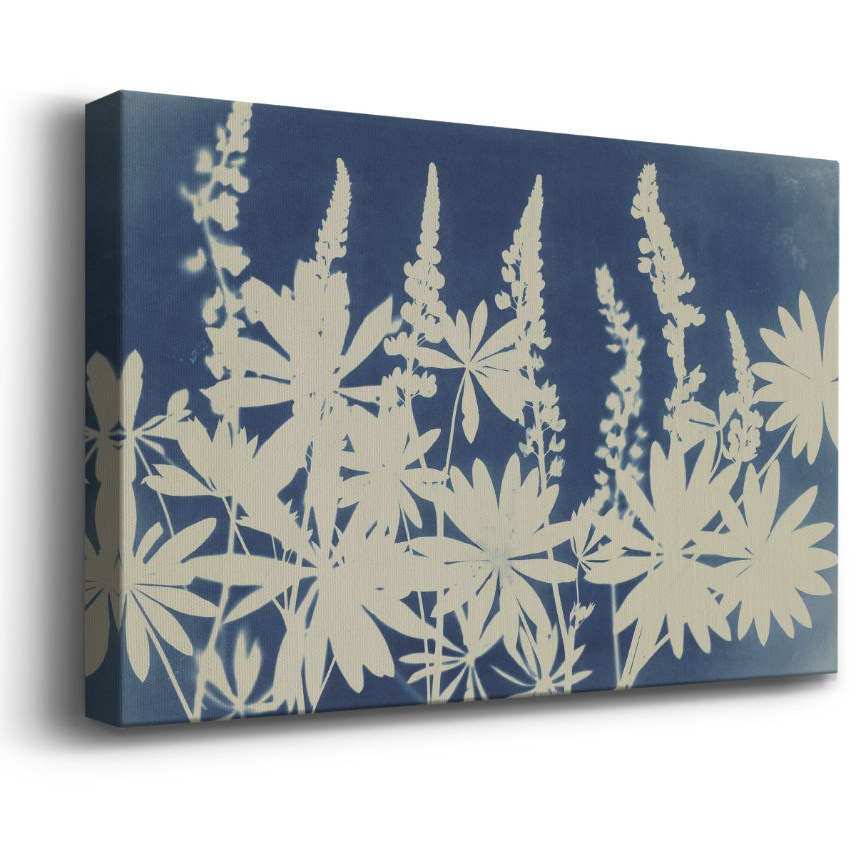 Lovely Lupine Premium Gallery Wrapped Canvas - Ready to Hang