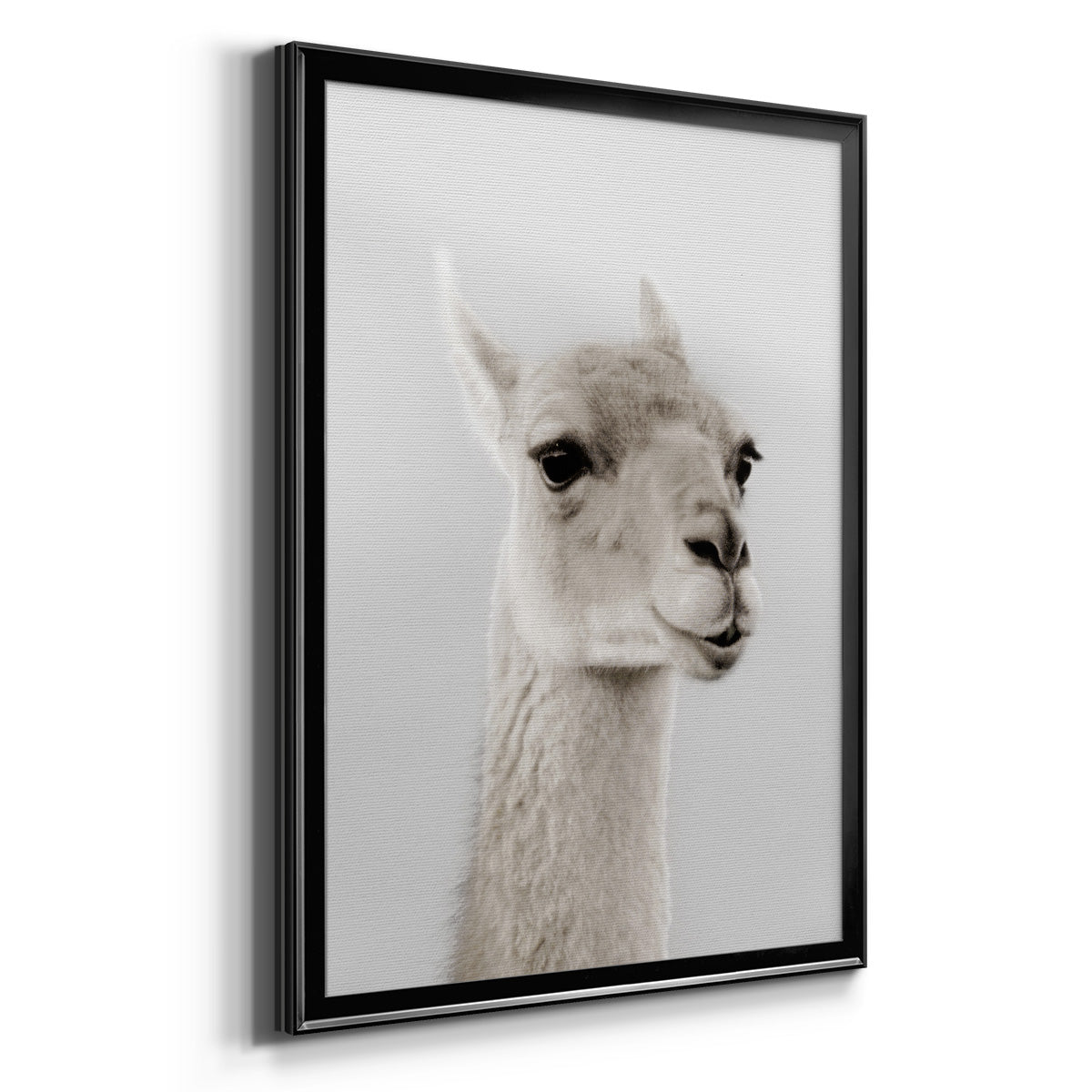 Soft Llama Premium Framed Print - Ready to Hang