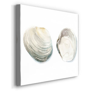 Watercolor Shells II-Premium Gallery Wrapped Canvas - Ready to Hang